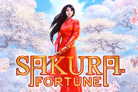 Sakura Fortune